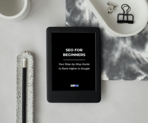 E-book seo guide for beginners